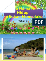 Kata Nama Am Hidup