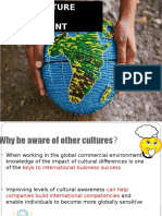 Cross Cultural Diversity