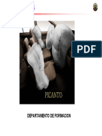 05-picanto-airbag.pdf