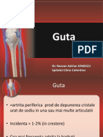 Guta_2012.pdf