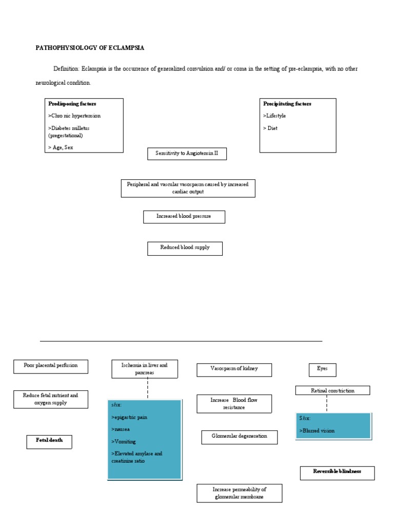 Eclampsia Pathophysiology Overview | PDF | Animal Anatomy | Edema