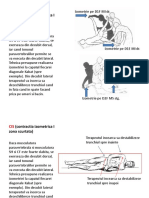 FNP Pt. Stabilitate PDF