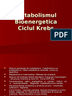 Metabolismul. Bioenergetica. Ciclul Krebs