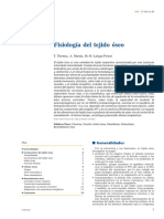 Fisiología Del Tejido Óseo PDF