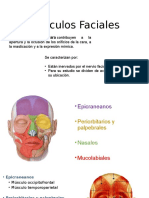 Músculos Faciales