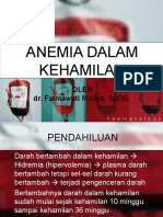 Anemia Dalam Kehamilan