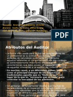 Perfil Del Auditor