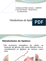 Metabolismo de Lipídeos