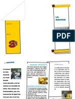 Publicación 2