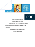 322012798 Lactancia Materna Doc