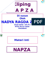 NAPZA