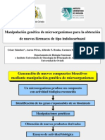 Manipulación Genética de Microorganismos para La Obtención de Nuevos Fármacos de Tipo Indolocarbazol