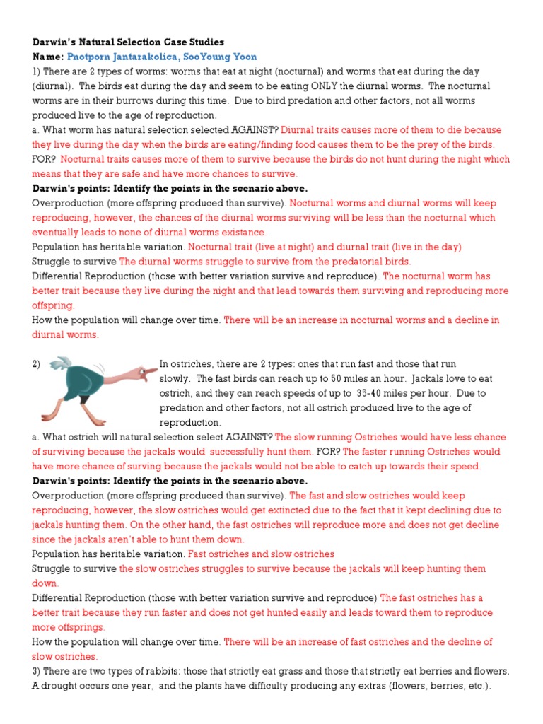 Worksheets Natural Selection Worksheet natural selection worksheet reproduction