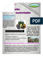 Desarrollo Sustentable PDF