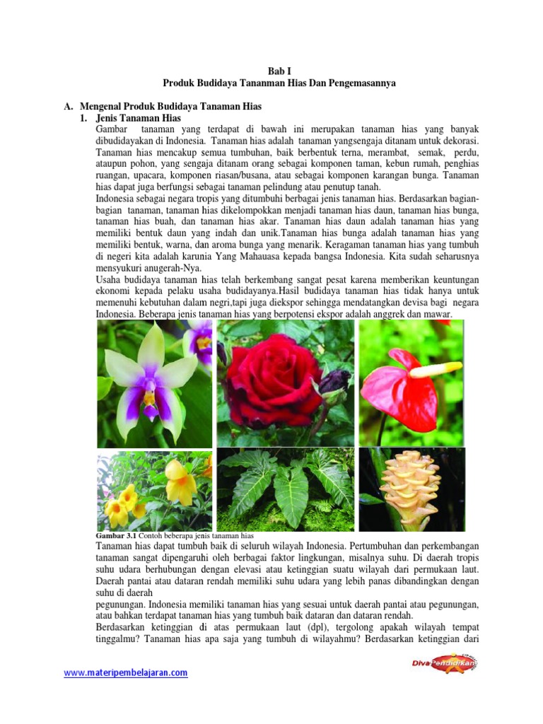 Bab I Produk Budidaya Tananman Hias Dan Pengemasannya