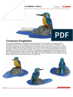 Kingfisher e A4 PDF