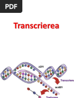 FDI Transcriere traducere - Copy.pdf