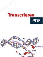 FDI Transcriere traducere - Copy.pdf