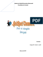 documents.tips_plan-de-afaceri-spalatorie-spitspot-cleaners.doc
