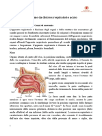 ARDS Sindrome Da Distress Respiratorio Acuto