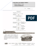 Digestao_Informativa.pdf