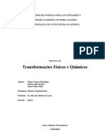 Relatório 3 Capa - Trasformações Químicas e Físicas