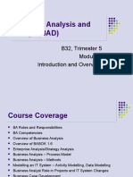 Business Analysis and Design 1