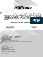 Certificado CIPA 2015-ROBERTO SILVA DO AMARAL