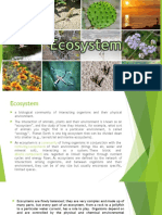 Ecosystem Report On SES