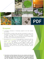 Ecosystem Report on SES