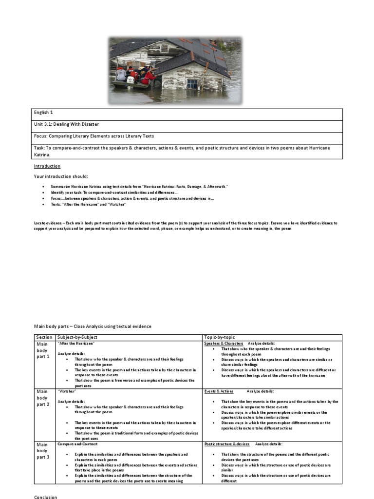 Free comparison essay example picture