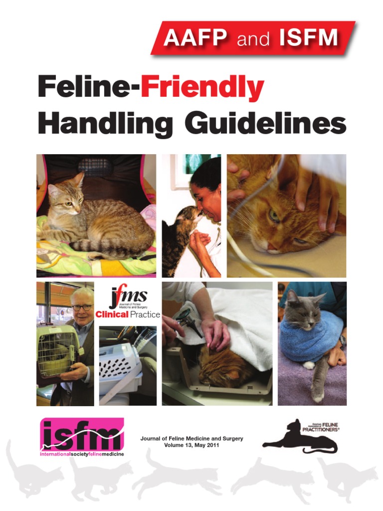 Feline-Friendly Handling Guidelines | PDF | Cats | Fear
