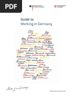 MiiG_Guide_to_Working_in_Germany.pdf