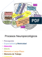 Procesos Neuropsicologicos