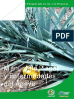 Plagas y Enfermedades Del Agaves PDF