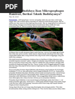 Domestikasi Ikan Uceng | PDF