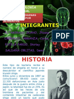 Bacterias Patogenas