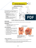 Anatomia Cpu Unprg Sistema Reproductor Cap-Xi PDF