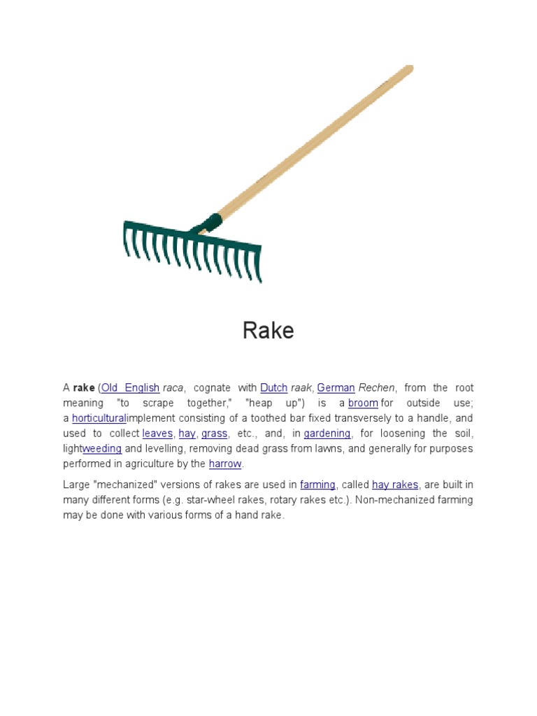 rake meaning in english