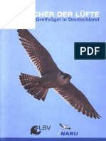 Greifvögel in Deutschland_NABU