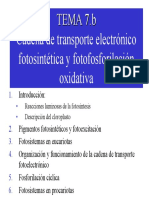 Transporte fotoelectrónico y fosforilación oxidativa