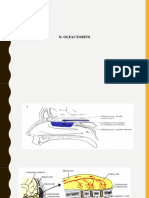 N. Cranialis 1-2