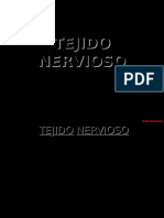 04 Tejido Nervioso