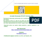 JORNADAS HOMENAJE A SALVADOR CELIA.   nº2 - 29_06_10