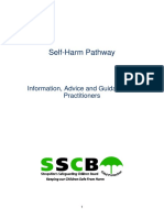 Self Harm Policy and Guidelines.