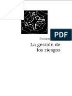 Stion de Los Riesgos, PDF