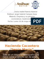 Hacienda Cacaotera MANUAL de RH
