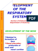Development of The Respiratory System: Section of Embryology Department of Anatomy