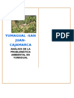 Yumagual Informe