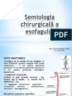 esofag curs.pdf